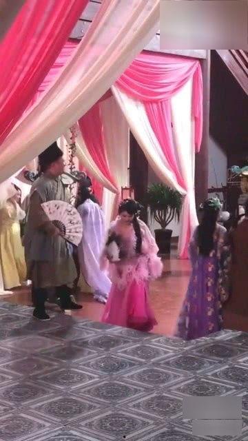 怡红院  视频,揭秘古代园林中的繁华与风情