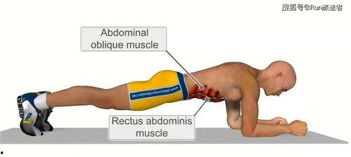 平板支撑教学视频,轻松掌握核心力量训练技巧