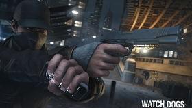 看门狗视频,守护家园的智慧守护者