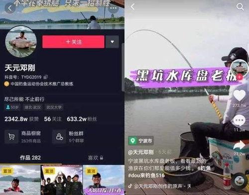 直播钓鱼视频直播